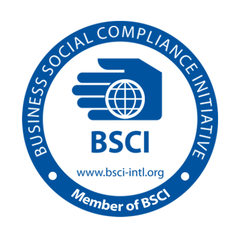 BSCI Logo